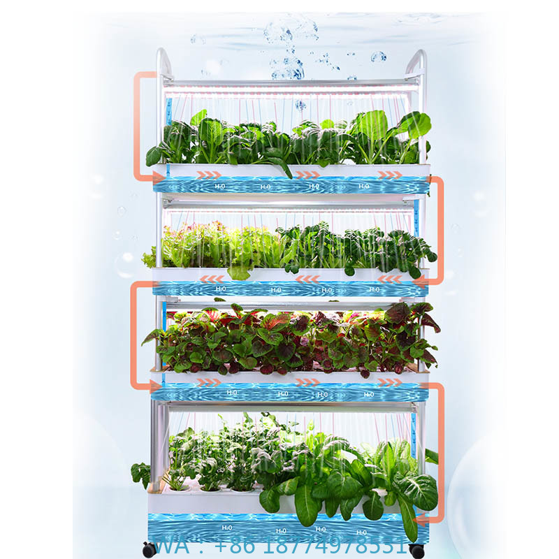 Home Automation System Diy - ydroponic plantsysteem Smart Home Automation-systeem te
