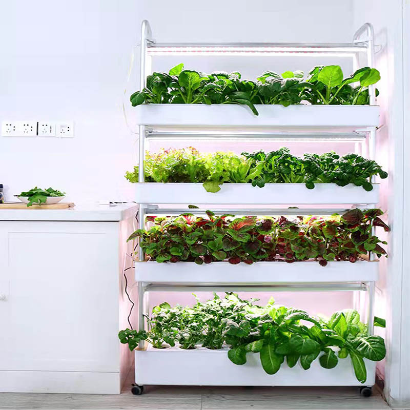 ydroponic plantsysteem Smart H - Home Automation System Diy recensie en prijs